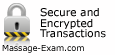 Secure icon